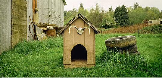 休闲模拟角色扮演游戏《尾侧：舒适咖啡馆模拟》现已推出试玩Demo